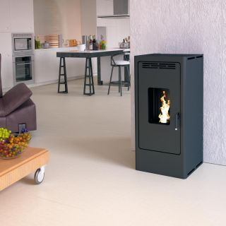 Poêle à granulés étanche fonte - FIREMATIC BR12 10.3 kW