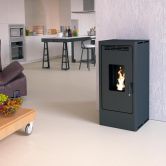 Poêle à granulés étanche fonte - FIREMATIC BR12 10.3 kW