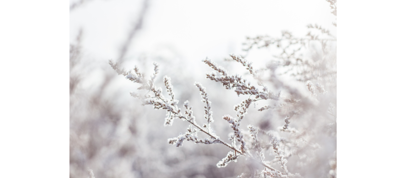 hiver