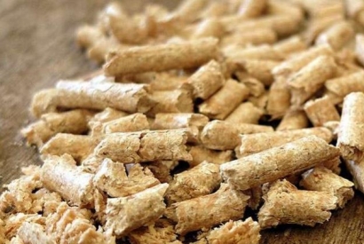 Quelle est la différence entre pellets et granulés ?