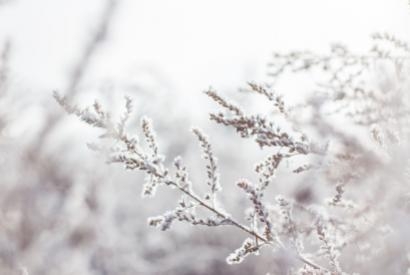 Préparer son poêle pour l'hiver : un guide complet