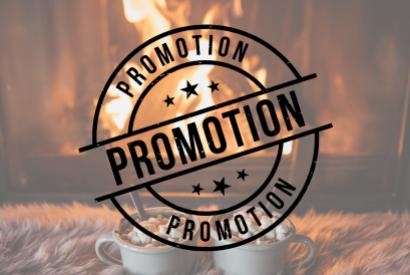 Poêles à bois en promotion : réchauffez votre hiver à prix doux !